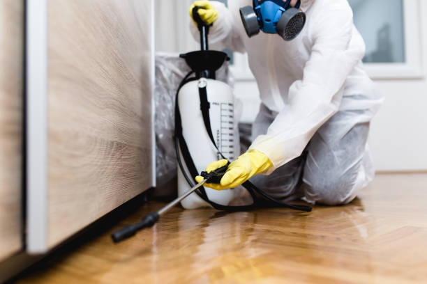 Best Best Pest Control Companies  in Kilmarnock, VA