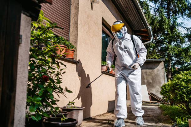 Best Affordable Pest Control Services  in Kilmarnock, VA