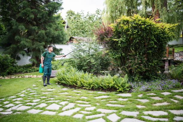 Best Pest Control for Homes  in Kilmarnock, VA