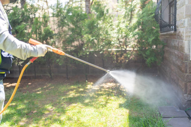 Best Flea Control Services  in Kilmarnock, VA