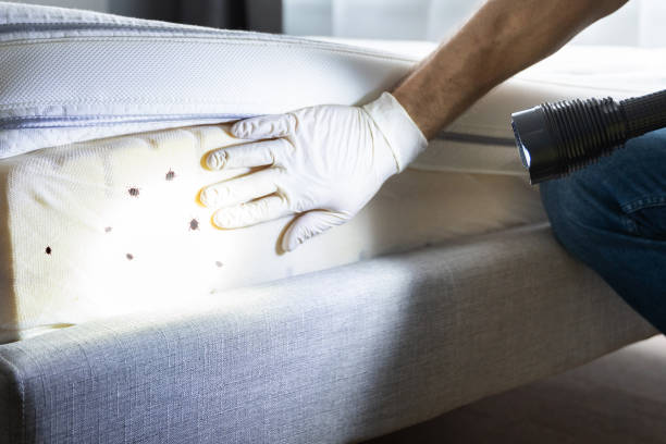 Best Pest Control for Restaurants  in Kilmarnock, VA